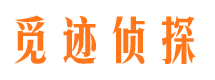 连平市场调查